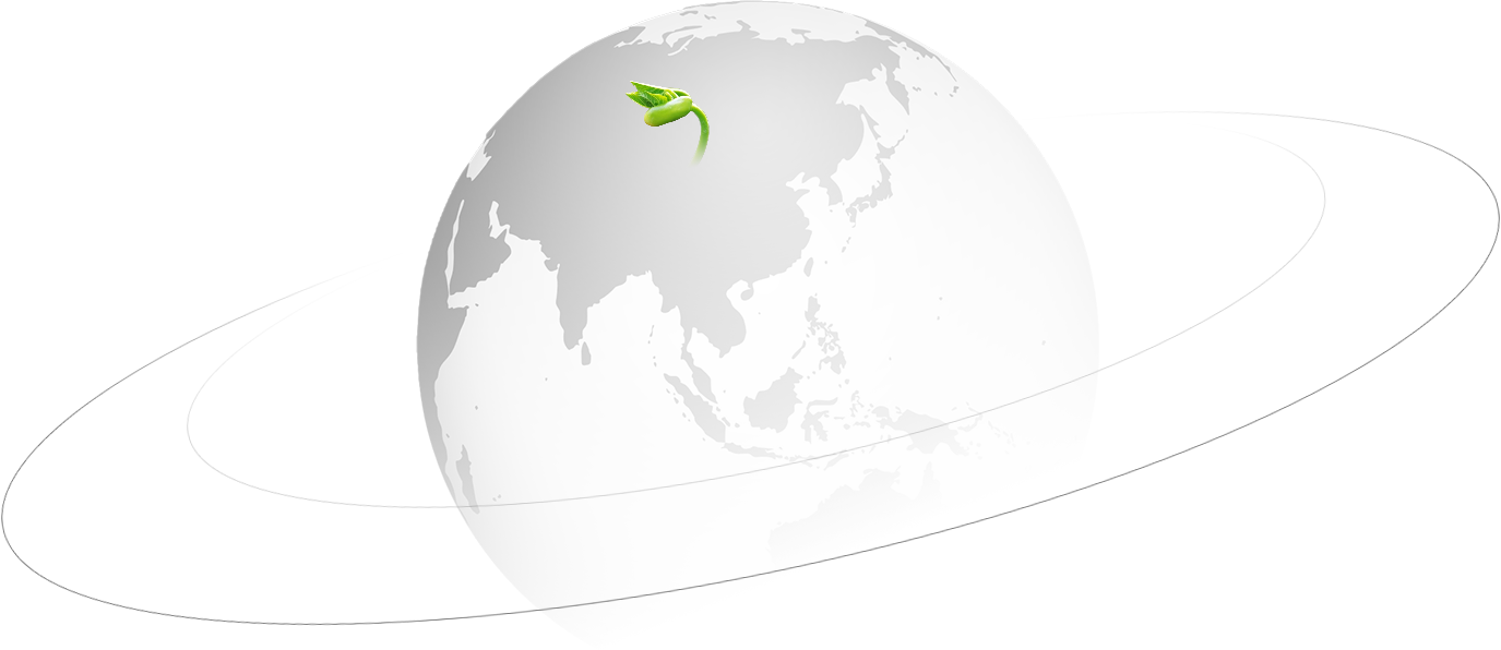 Rolamento especial Co. de Jiangsu Wanda, Ltd.,